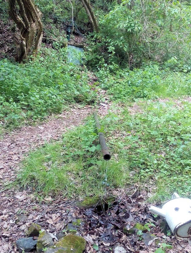 studánka Nad farmou II (11338) - květen 2017
