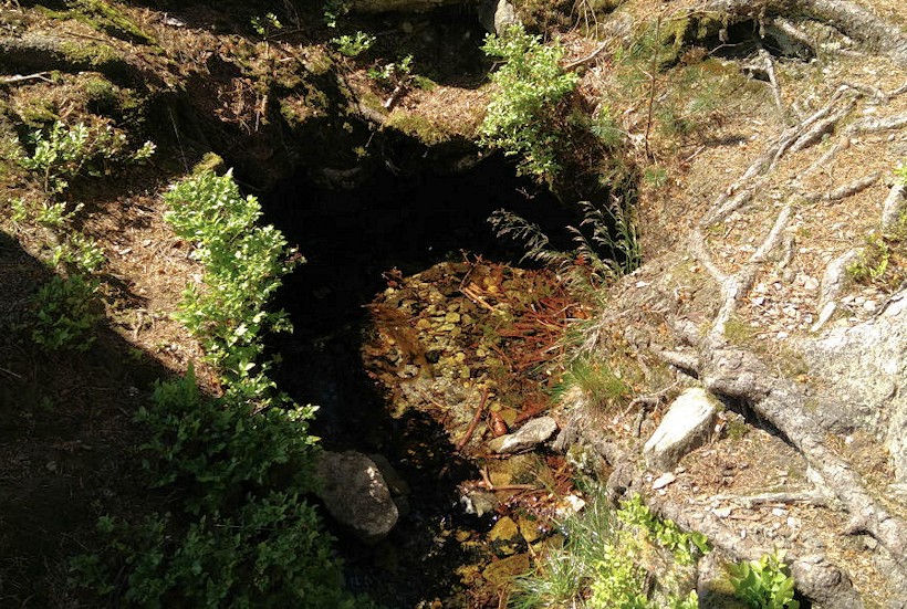 studánka U Kubíčků (11341) - květen 2017