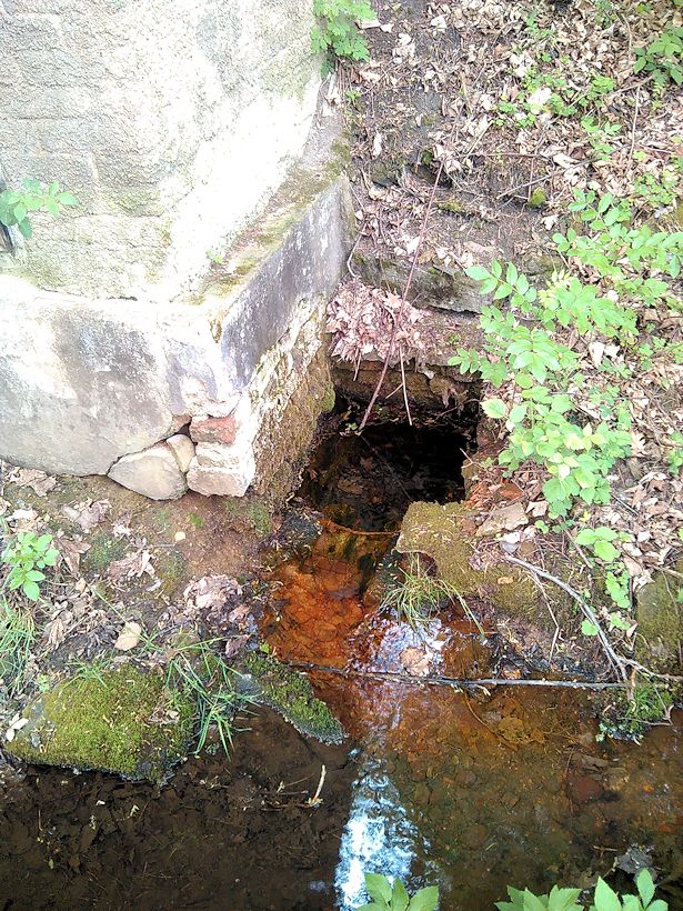 studánka bez jména (11357) - červen 2017