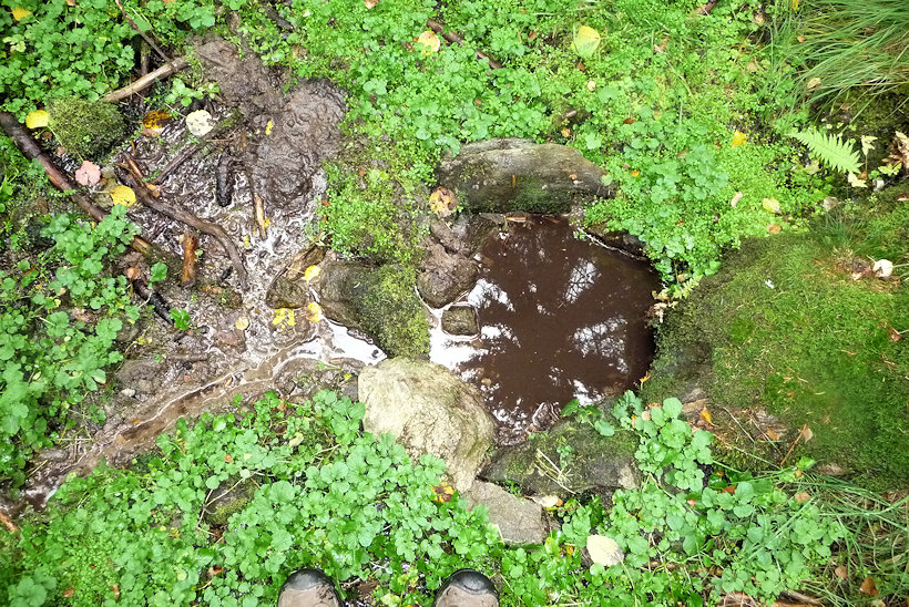 studánka Pod Spáleništěm 2 (11374) - datum neznámé