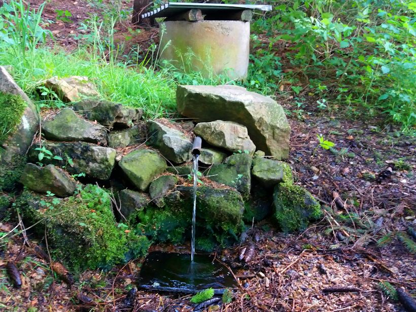 studánka Na Hyblíku (11380) - červen 2017