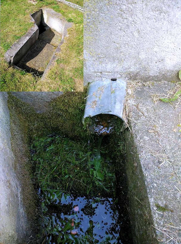 studánka Pod Panským vrchem (11385) - červen 2017