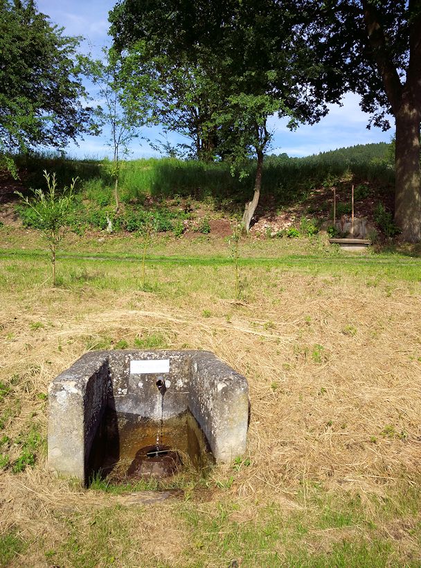 studánka U Kršňáků (11386) - červen 2017