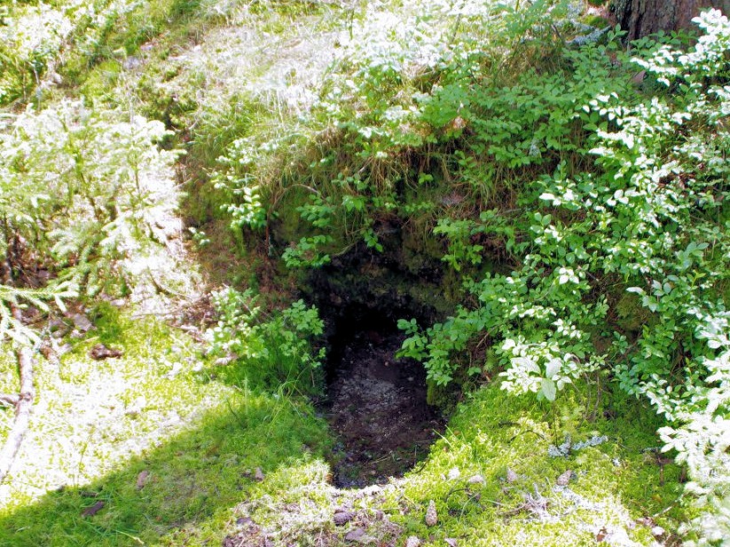 studánka Nad Křížkem (11404) - červen 2017