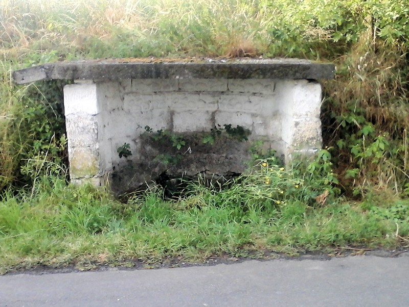 studánka bez jména (11420) - červen 2017