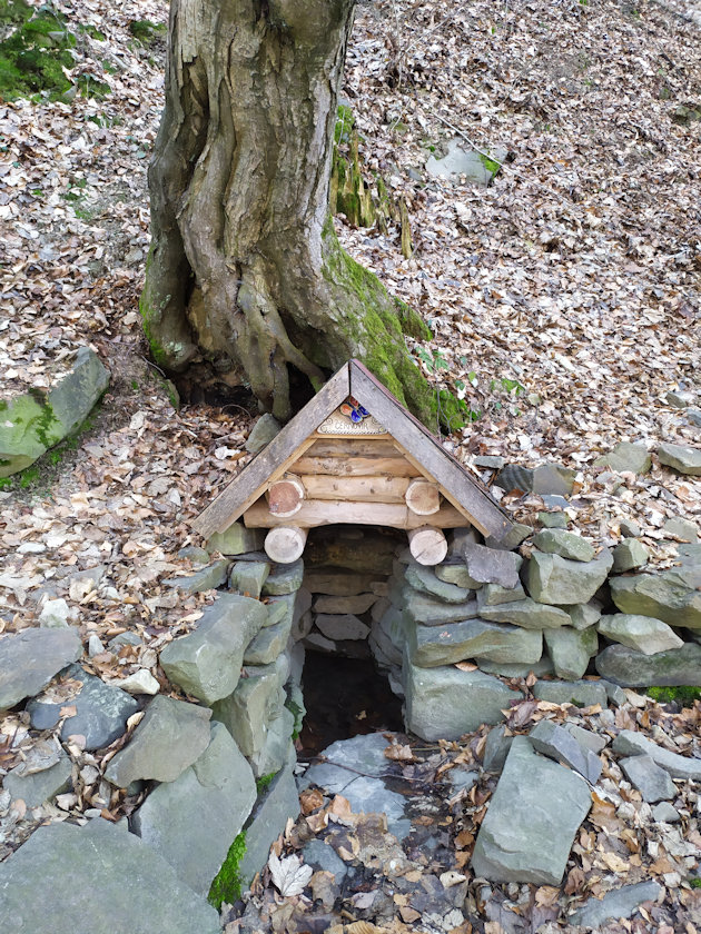studánka Černovír (11421) - březen 2021
