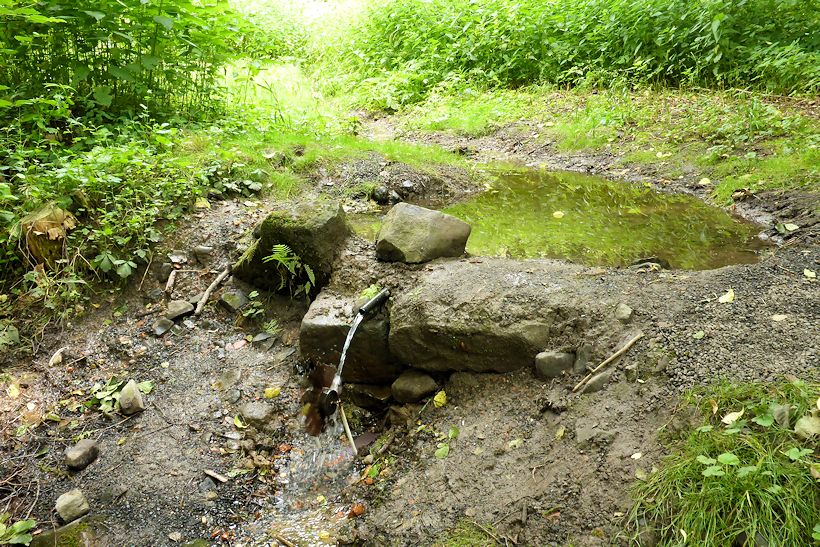 studánka bez jména (11437) - červenec 2017