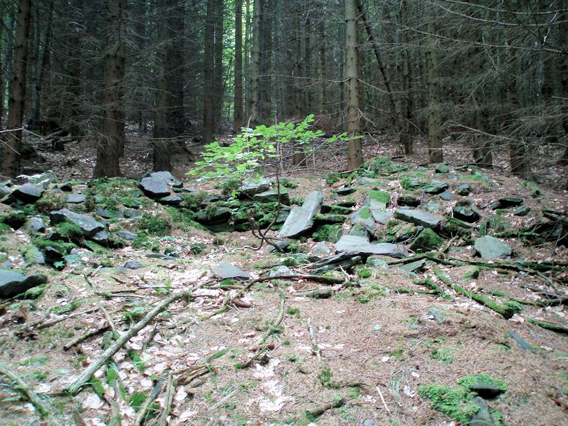 Původní Myslivecký pramen (11469) - červenec 2017