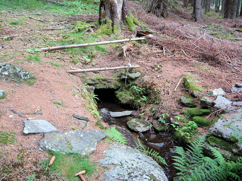 studánka Na Spáleném vrchu (11476) - červenec 2017