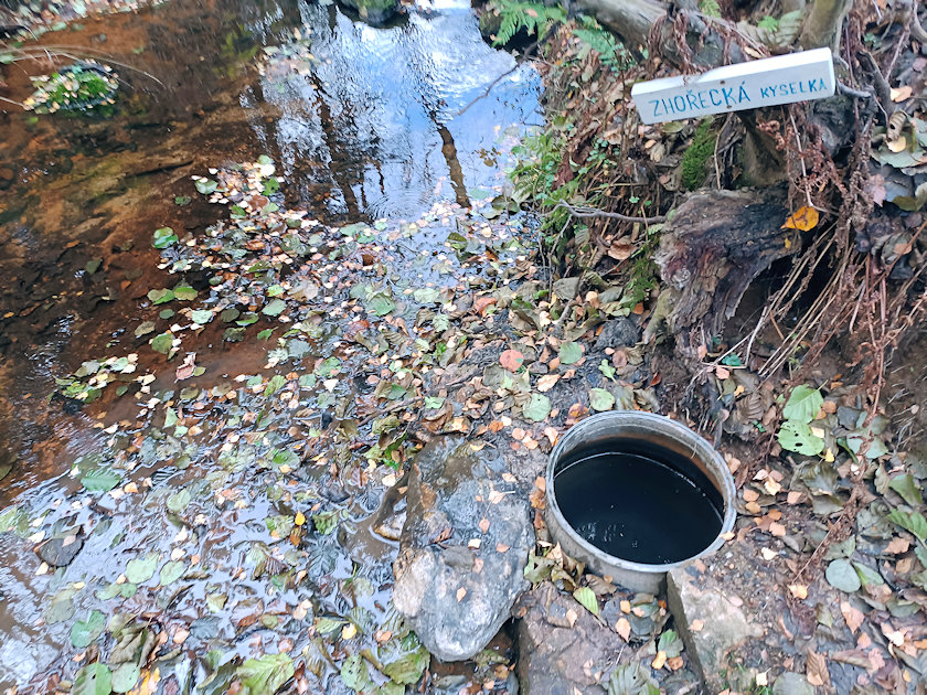 studánka Zhořecká kyselka (11482) - listopad 2022
