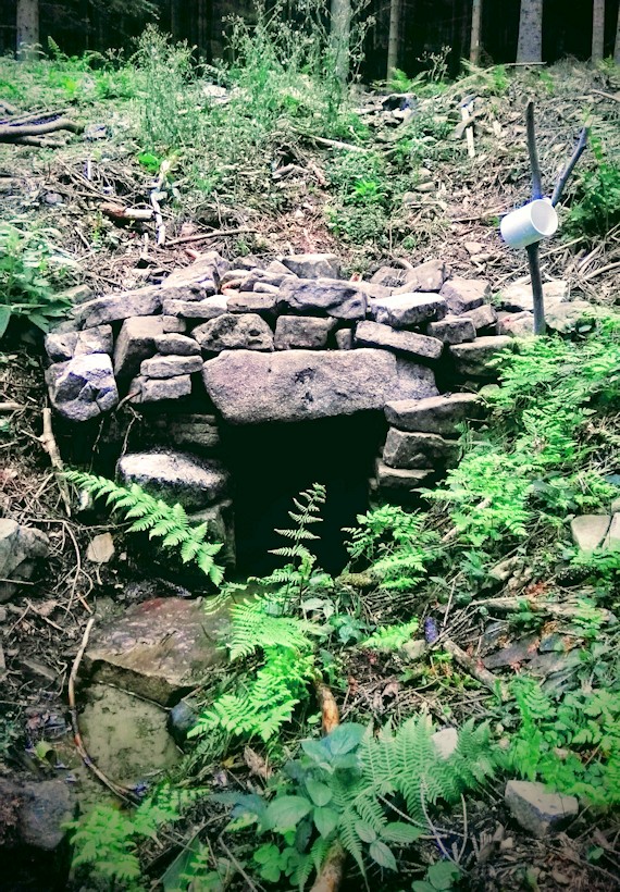 studánka Tichý pramen (11487) - červenec 2017