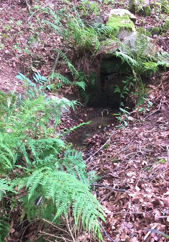 studánka Pod osadou (11494) - červenec 2017