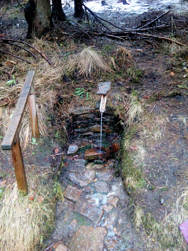 studánka V mechu a kapradí (11498) - březen 2019