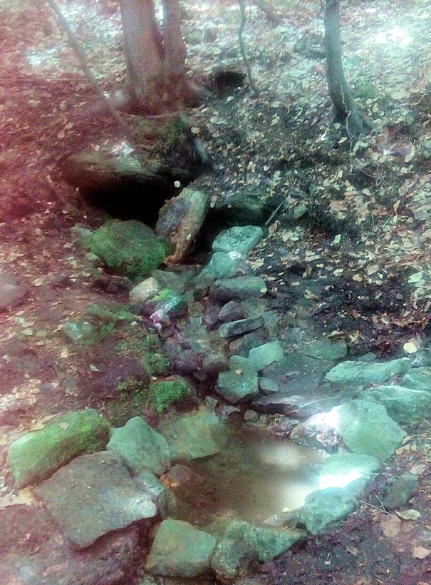 studánka U Turoňů (11502) - červenec 2017