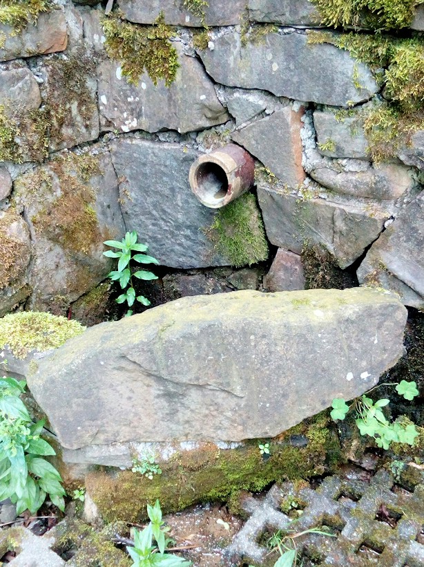 studánka Polanka (11507) - červenec 2017