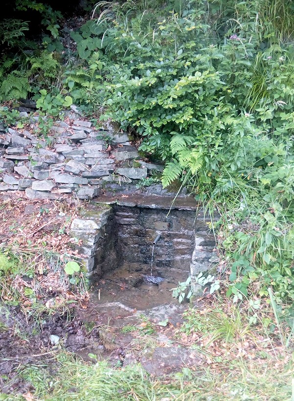 studánka Pod Pralesem Mionší (11522) - červenec 2017
