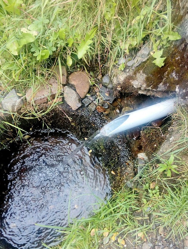 studánka Vojtěchov (11527) - červenec 2017