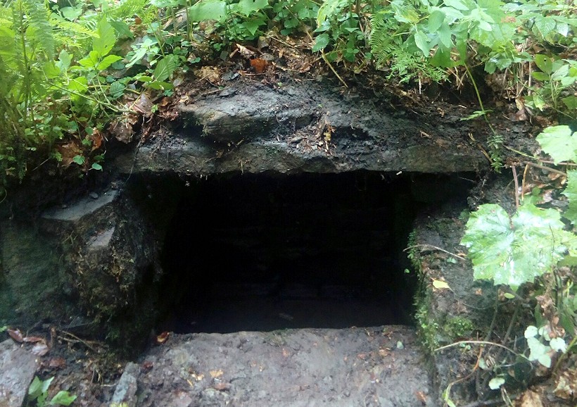 studánka V Tatínkách (11528) - červenec 2017