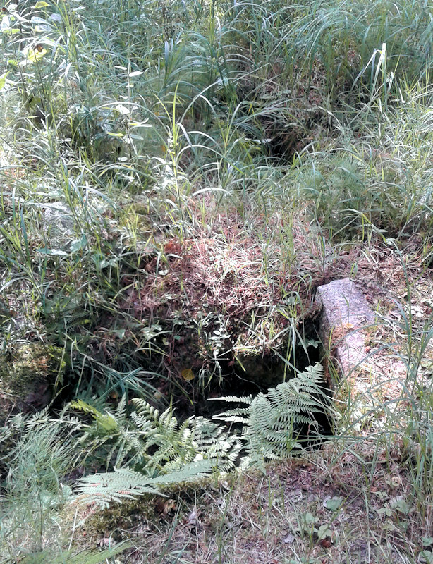 studánka Pod Vráží (11553) - srpen 2017