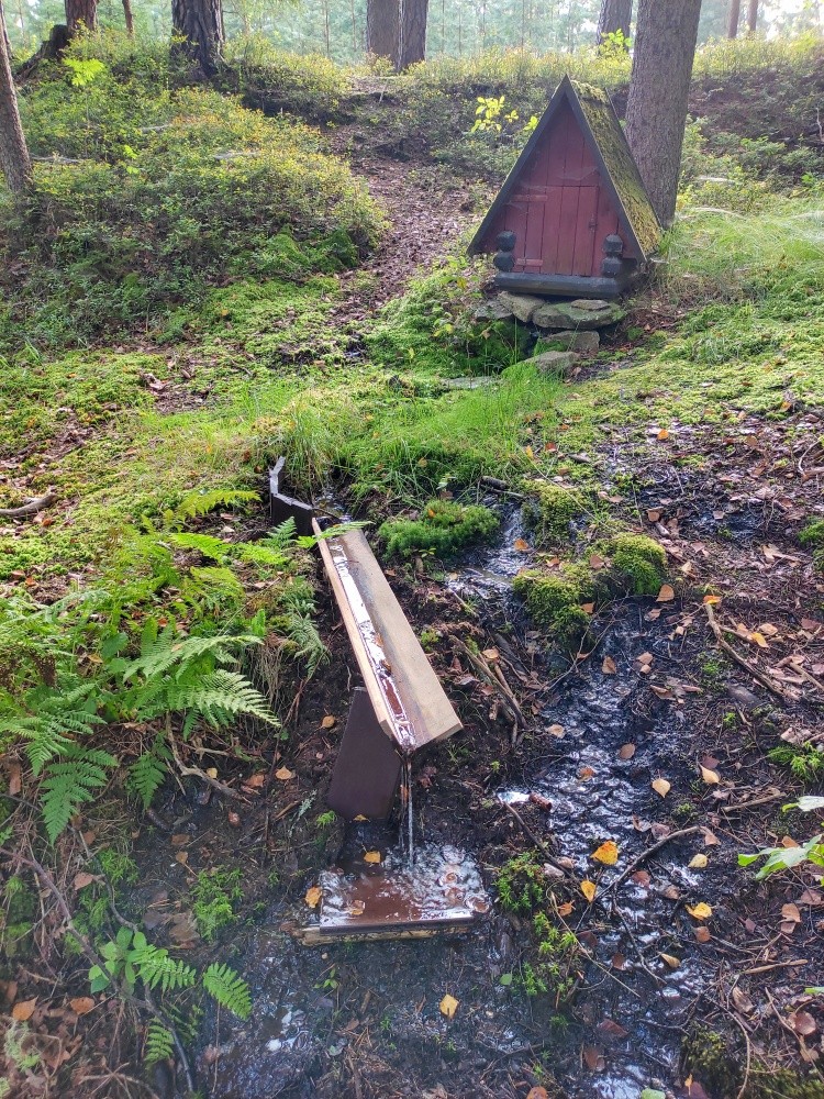 studánka bez jména (11555) - září 2024