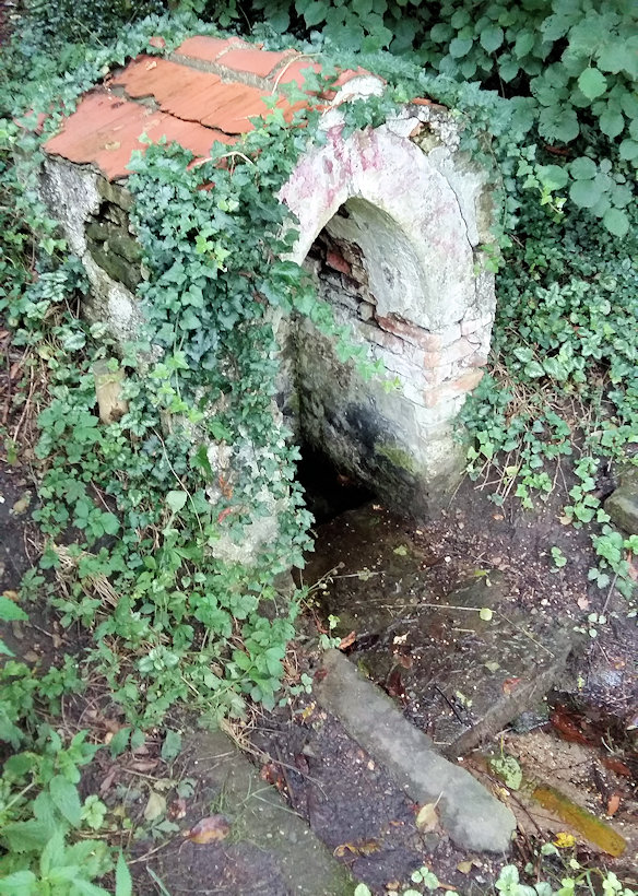 studánka bez jména (11558) - srpen 2017