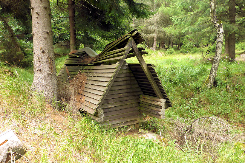 studánka bez jména (11568) - srpen 2017