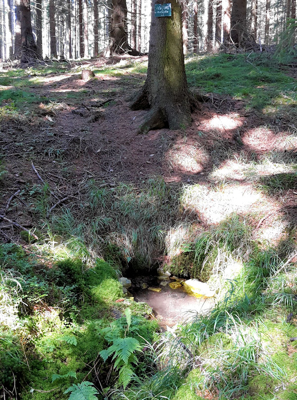 Ledová studánka (11574) - srpen 2017