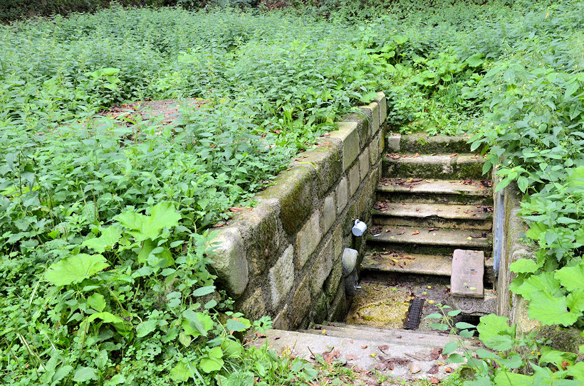 studánka Mlýnská kyselka (11582) - srpen 2017