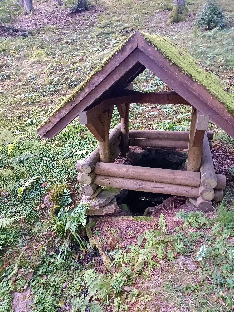 studánka V Potokách (11592) - září 2023