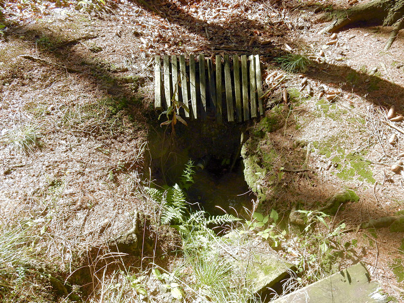 studánka Na Hubené straně (11602) - srpen 2017