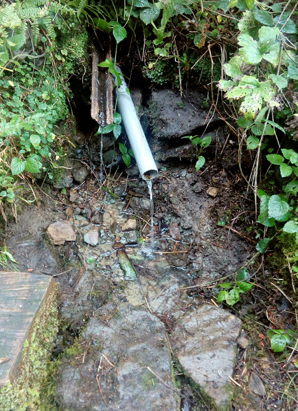 studánka U Szotkowszkých (11621) - srpen 2017
