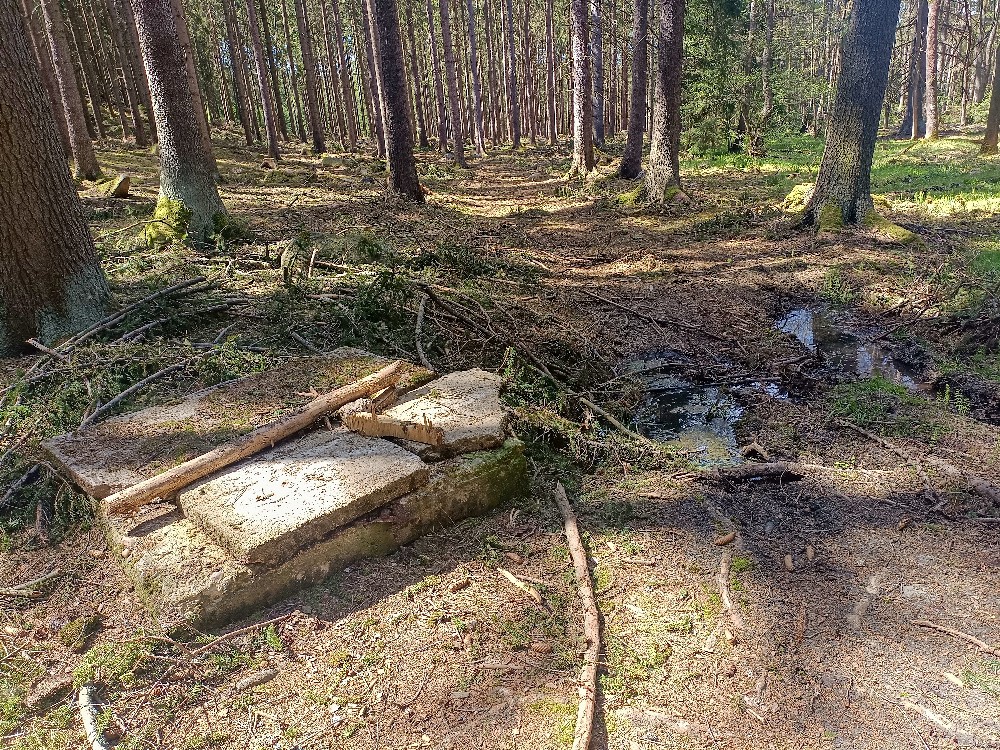 studna U sklárny (11659) - duben 2024