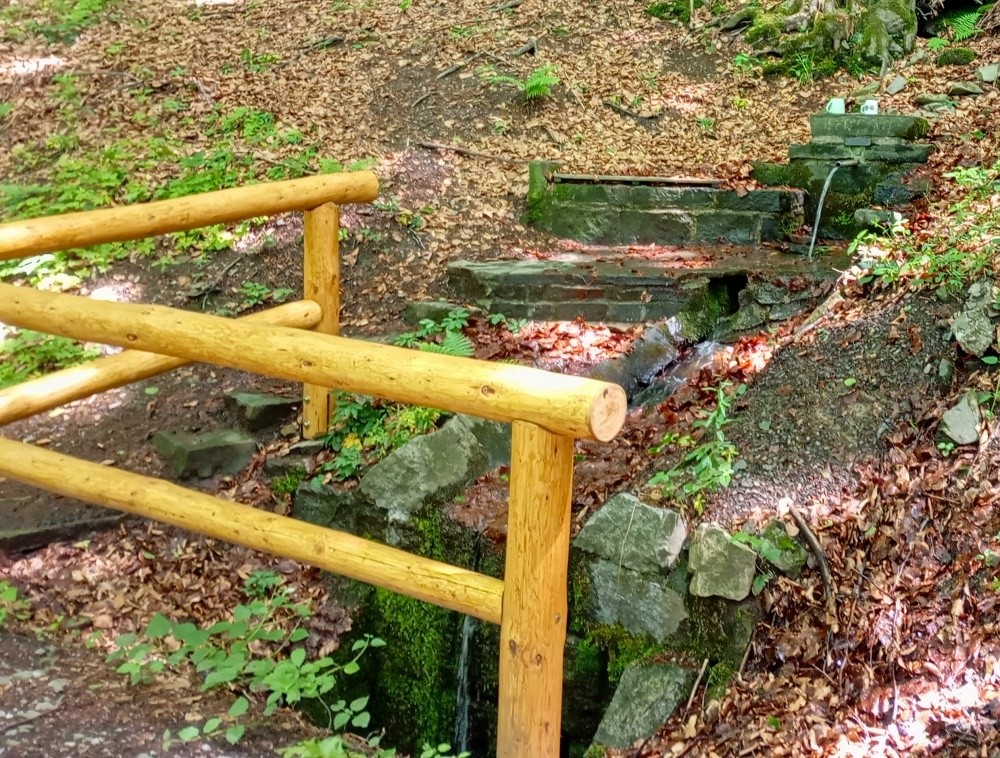 studánka Pod Čantoryjí (11662) - květen 2025