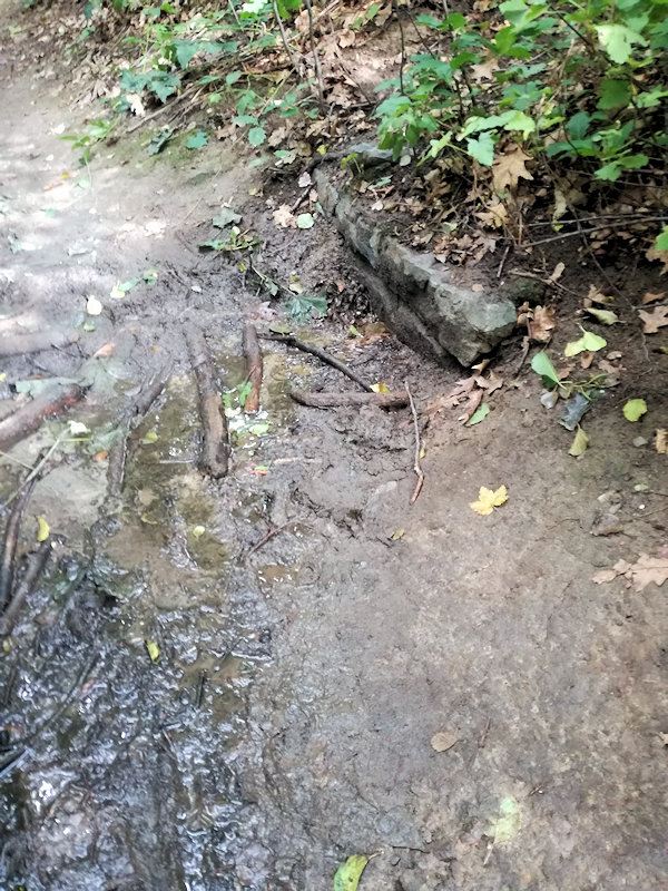 studánka U rybízů (11677) - září 2017