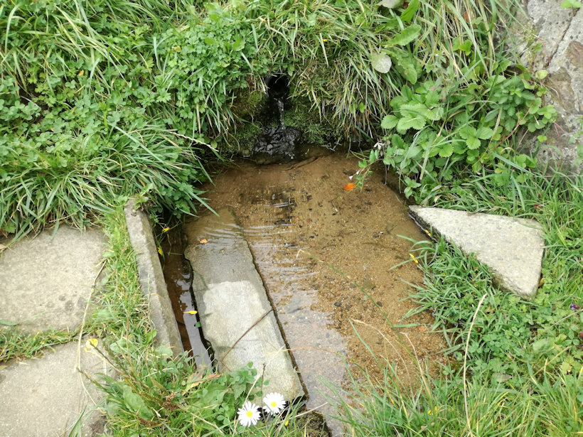 studánka Ve Vlčkovce (11679) - září 2017