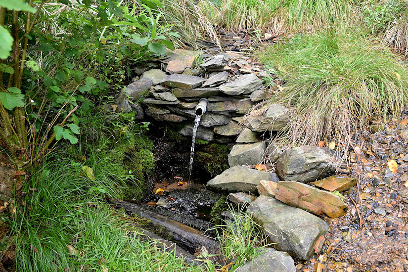 studánka Zlaté údolí (11694) - září 2017