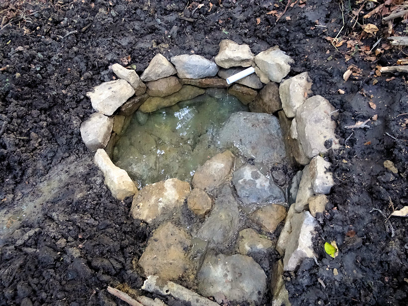 studánka Pod Hrubou planinou (11717) - září 2017