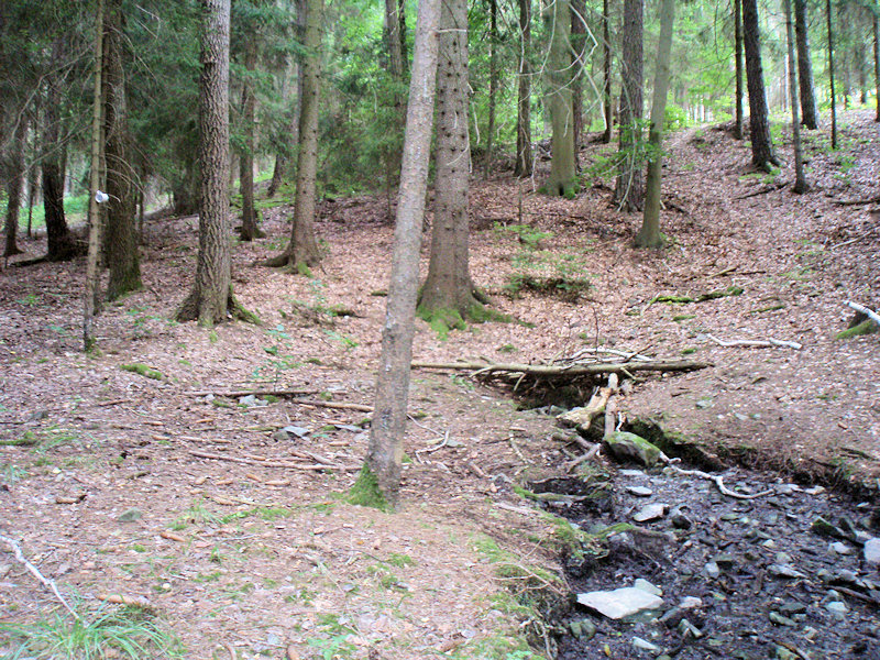 studánka Nad chatou (11719) - září 2017