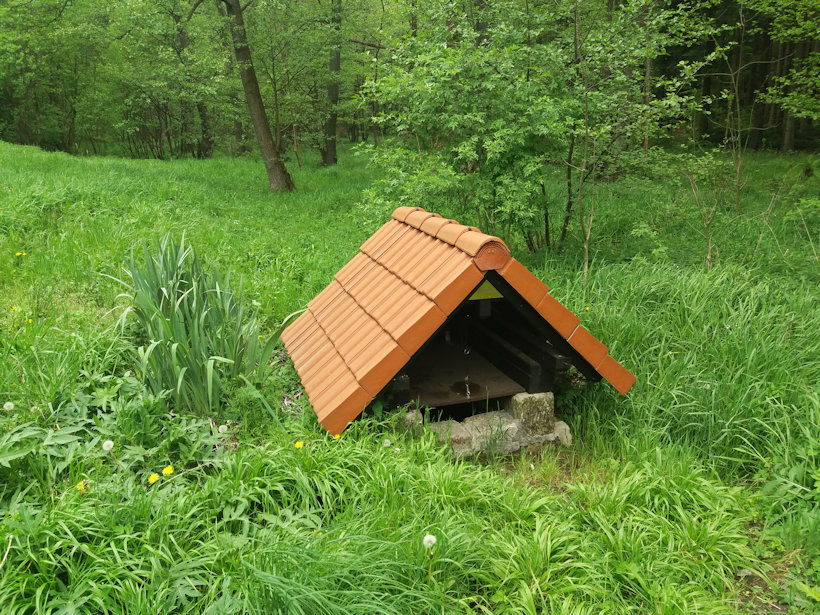 studánka Pod Janovou horou (11738) - květen 2019