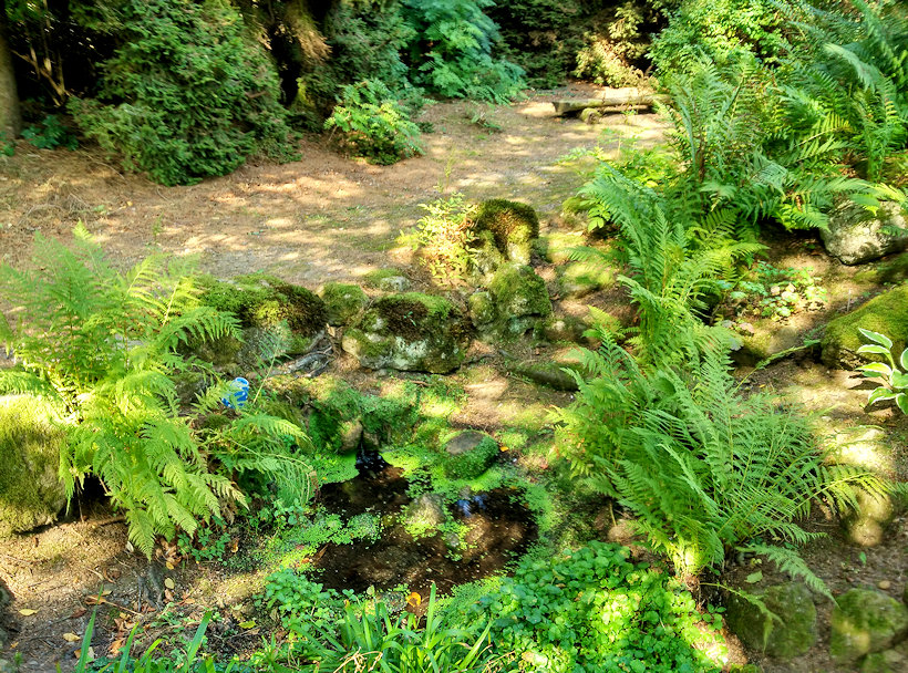 studánka V arboretu (11753) - říjen 2017