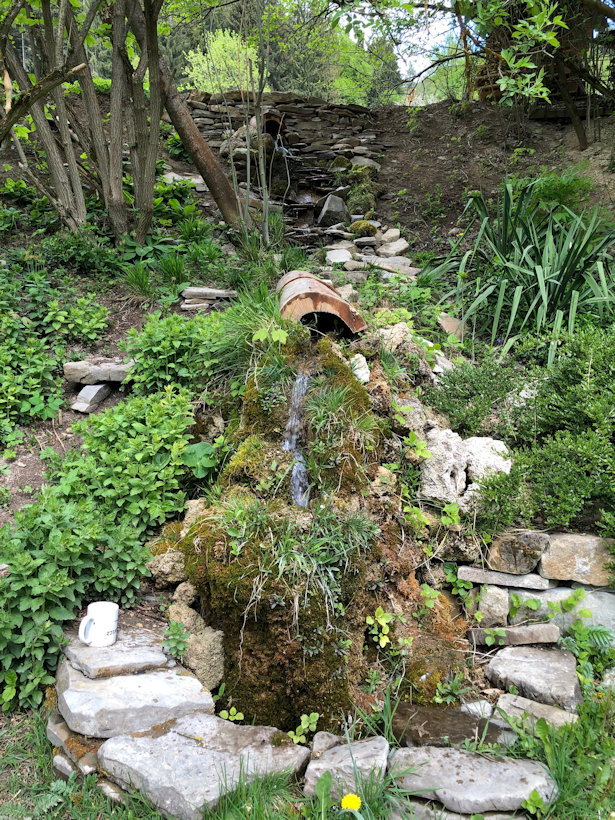 studánka U Lysáků (11807) - květen 2020