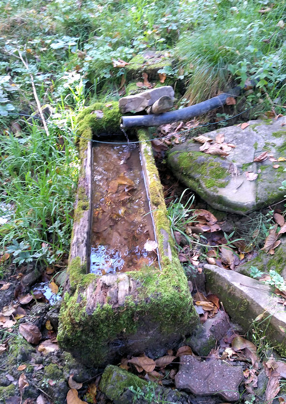 studánka U Jelínka (11808) - prosinec 2017