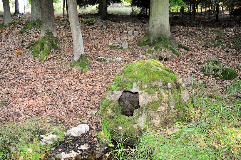 studánka Na Chlapecké louce (11814) - prosinec 2017