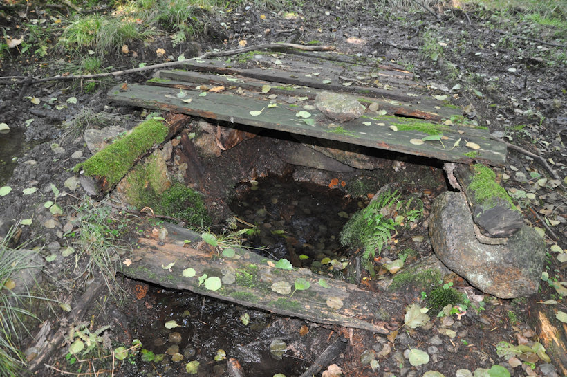 studánka U Tiského potoka (11815) - prosinec 2017
