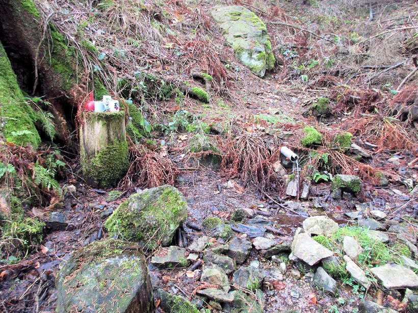 studánka U partyzánského pomníku (11829) - leden 2018