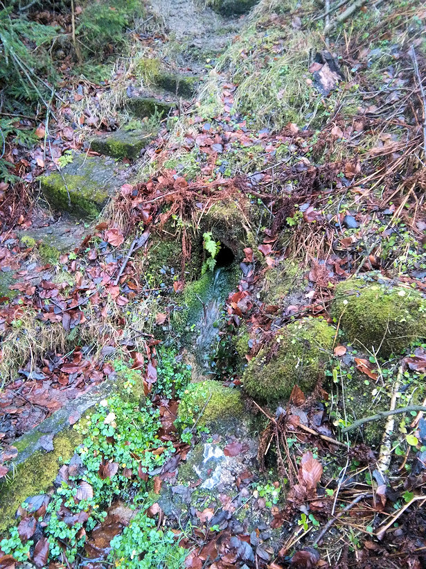 studánka Na Požírně (11834) - leden 2018