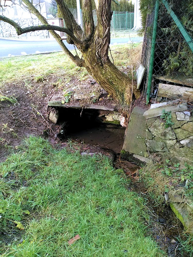 studánka Pod starým bezem (11836) - leden 2018