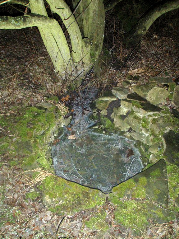 studánka Jendova (11852) - leden 2018