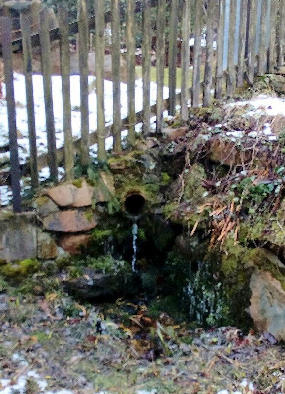 studánka U lávky (11864) - únor 2018