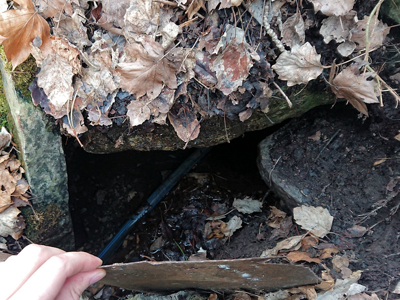 studánka Nad Cementárnou (11880) - březen 2018